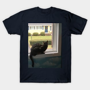 Kitty in the Window T-Shirt